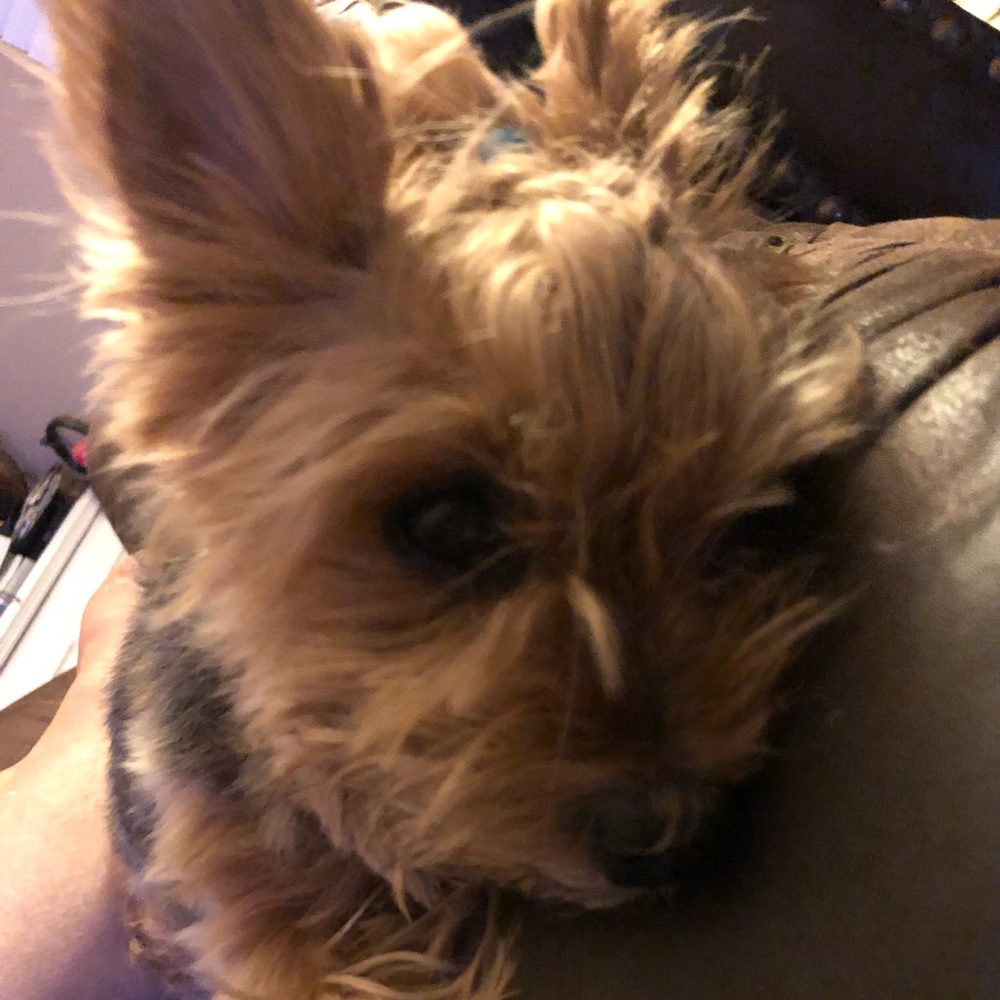 Meet your Posher, Megan